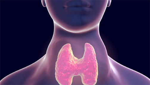 Hypothyroidism - UNDER-active Thyroid